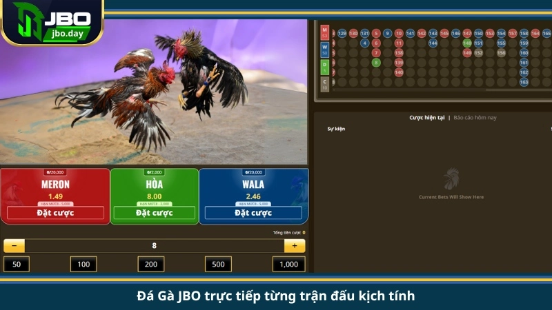 Đá Gà JBO trực tiếp từng trận đấu kịch tính