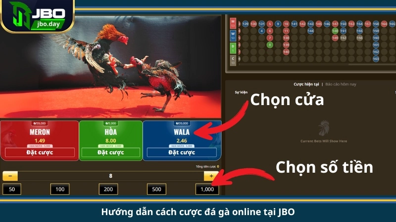 Hướng dẫn cách cược đá gà online tại JBO
