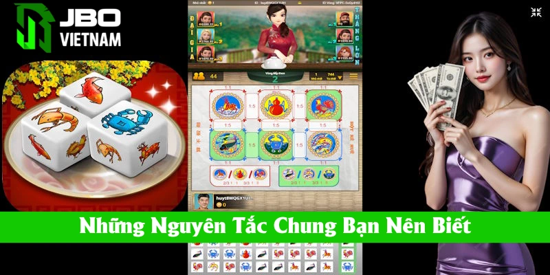 Những nguyên tắc chung bạn nên biết