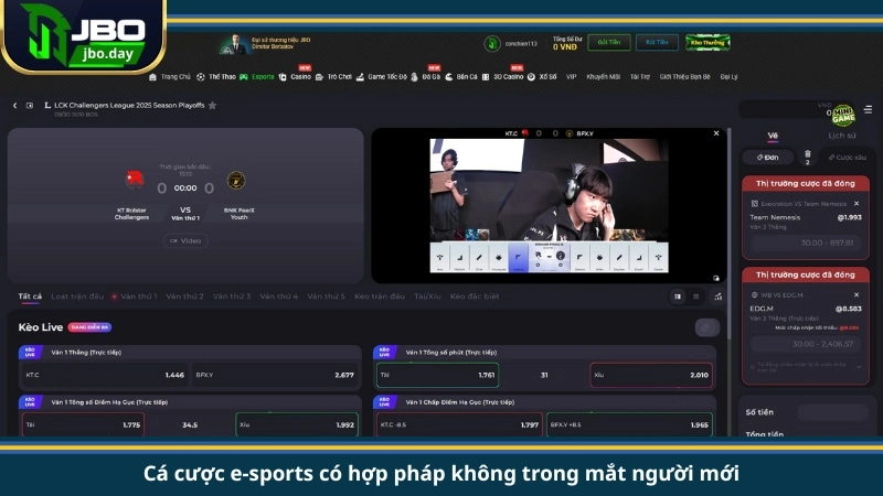 Cá cược e-sports có hợp pháp không trong mắt người mới