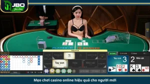 Mẹo chơi casino online hiệu quả cho người mới
